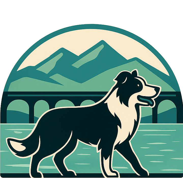 Barmouth Dog Services